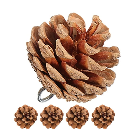 5Pcs Pine Cone Bird Chew Toys Parrot Chewing Cones for Cockatiel Parakeets Conures Cage Toys