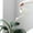 White, variant on Fmbmuo 70 oz/2000 ml Watering Can Plastic Long Spout with Handle for Greenhouse, Vintage Gray Removable Nozzle Plant Watering Can for Plant Lovers