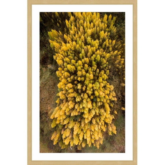 Marmont Hill "Yellow Flora" by Karolis Janulis Framed Painting Print