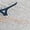 Gf Wht-Autumn Sunset, variant on Mizuno Men's Wave Rider 29 Running Shoe