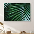thumbnail image 1 of PixonSign Canvas Print Wall Art Jungle Palm Leaves Nature Wilderness Photography Realism Contemporary Closeup Relax/Calm Multicolor Ultra for Living Room, Bedroom, Office - 12x18, 1 of 5