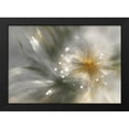 thumbnail image 2 of Stephen Chambers 24x18 Black Modern Wood Framed Wall Art Titled - Dreamingly Beautiful 36, 2 of 6