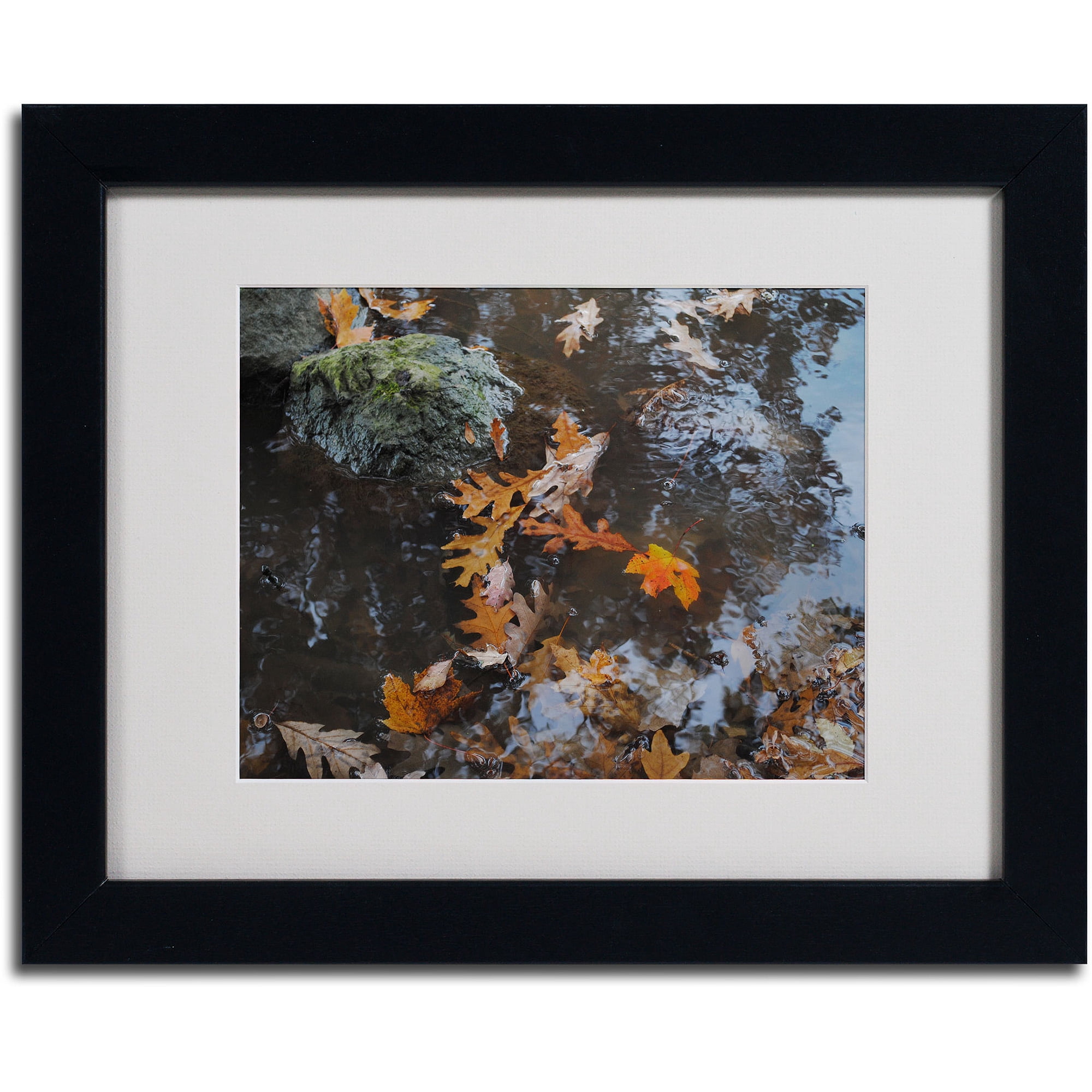 Trademark Fine Art "Buoyant" by Monica Fleet, Black Frame