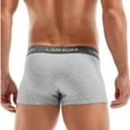 thumbnail image 3 of Ropa Interior Para Hombre, Calzoncillos De Moda Para Hombre, Calzoncillos De Algodón, Calzoncillos Con Tirantes, Ropa Interior, Pantalón, 3 of 4