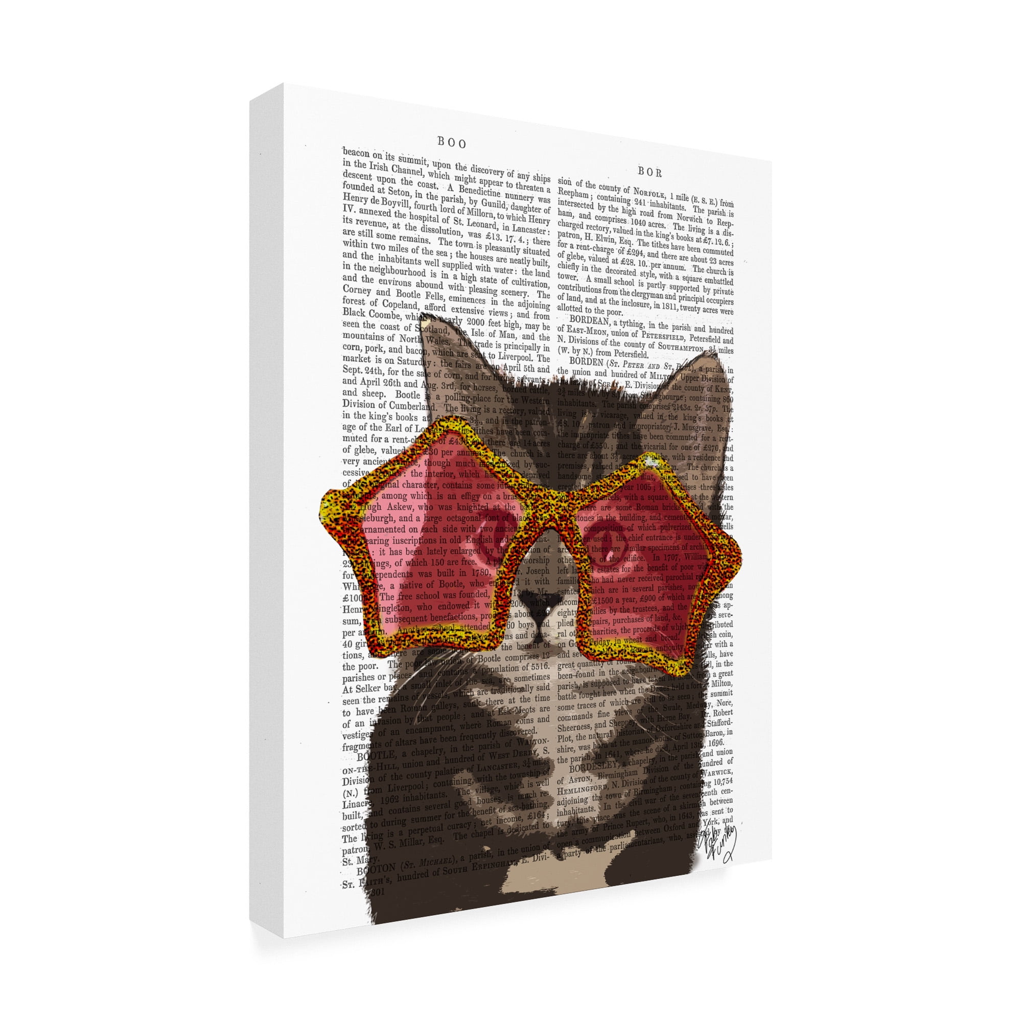 Trademark Fine Art 'Kitten In Star Sunglasses' Canvas Art by Fab Funky