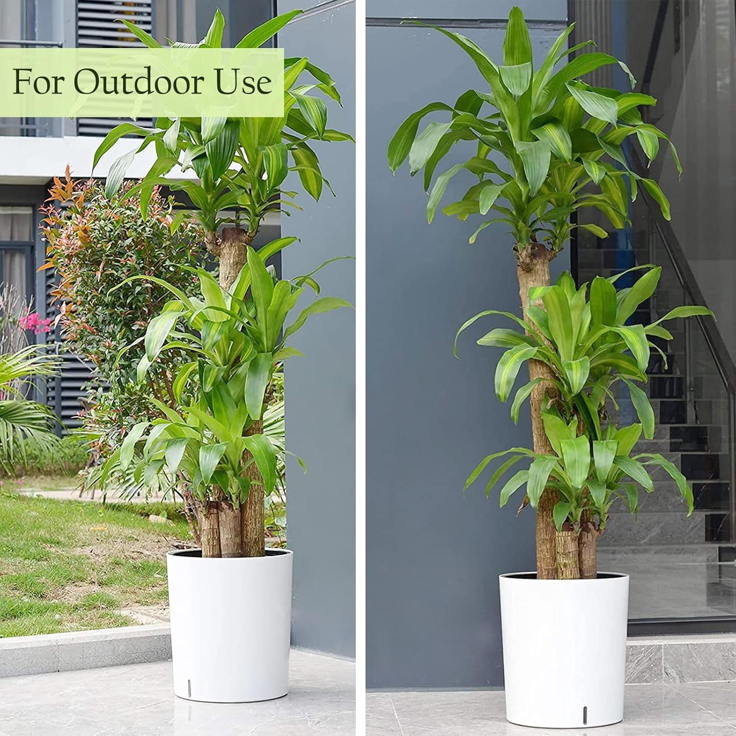 SAROSORA Large Round Self Watering Planter Pot 12.5'' 2-Pack for Home Garden Patio Tall Tree(White,1-Pack)