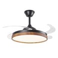 thumbnail image 1 of Lampara Ventilador de Techo LED Nature Luxica Lighting Negro, 1 of 7