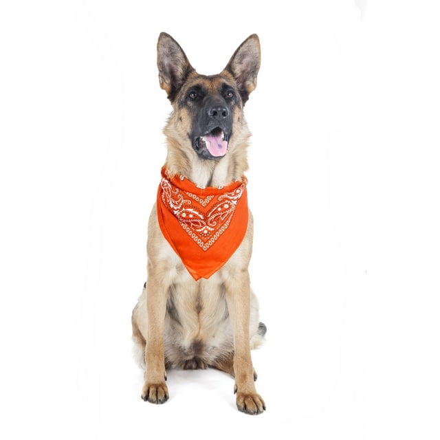 5 Pack Paisley Polyester Pets Dogs Bandana Triangle Shape - Oversized (Orange)