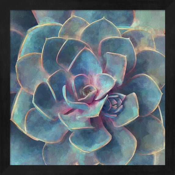Great Art Now Succulent Beauty I by Cora Niele, Framed Wall Art, 13.25W x 13.25H