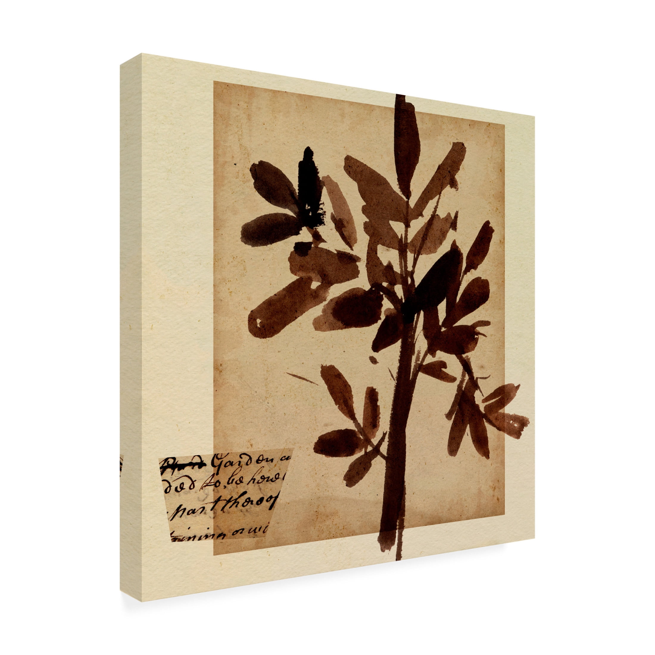 Canvas Wall Art - Melissa Wang 'Last Memory I' Wall Art for Living Room, Bedroom, or Office Décor by Trademark Fine Art - 18 x 18 Inches
