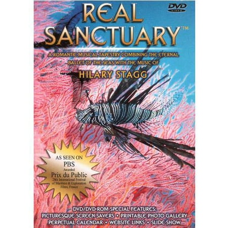 sebulube Women's Casual Boho Floral Print V Neck Long Sleeve Loose Blouses Shirts Tops