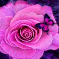 thumbnail image 2 of Diamond Painting Kits for Adults (30 x 30cm) DIY 5D Full Round Drill Crystal Rhinestone Embroidery Pictures Arts Paint by Diamond Art Kits for Home Wall Decor Relax, 2 of 9