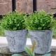 thumbnail image 5 of Injueey 12 unids/set elegantes arbustos de plástico para flores y plantas de imitación versátiles de bajo mantenimiento y fáciles de Decoración Eucalipto grande, 5 of 6