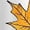 White, variant on Cute Autumn T-Shirt Thankful Grateful Blessed Yellow Red Orange Leaves Graphic Print