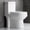 Small Bolt Holes with chrome button, variant on HOROW Toilet One Piece High Efficiency Compact Dual Flush 1.28 GPF 10'' Rough-in with Soft Seat