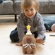 thumbnail image 5 of ¡Lindas y Adorables Muñecas que Acompañan el Crecimiento Feliz de los Niños e Inspiran Imaginación Ilimitada!, 5 of 8