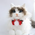 thumbnail image 3 of Pet Collar Adjustable Quick Release Exquisite Pattern Shiny Visual Effect Bite-resistant Dress Up Christmas Cat Dog Collar Pet Neck Strap with Mini Bell Pet Supplies, 3 of 10