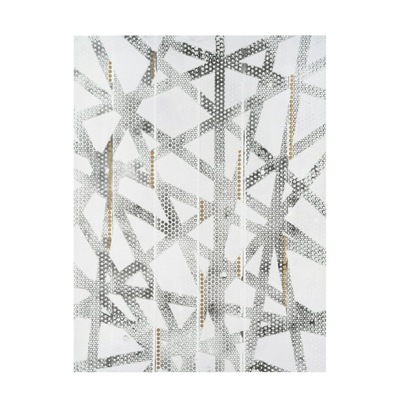 Canvas Wall Art - Vanna Lam 'Stippled II' Wall Art for Living Room, Bedroom, or Office Décor by Trademark Fine Art - 14 x 19 Inches