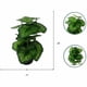 thumbnail image 2 of Planta verde de simulación, decoración de plantas en maceta, flor artificial, flor de boda, decoración de ventana del hogar, planta de simulación de flores en maceta (Moye Begonia (verde)) Moye  JM, 2 of 5