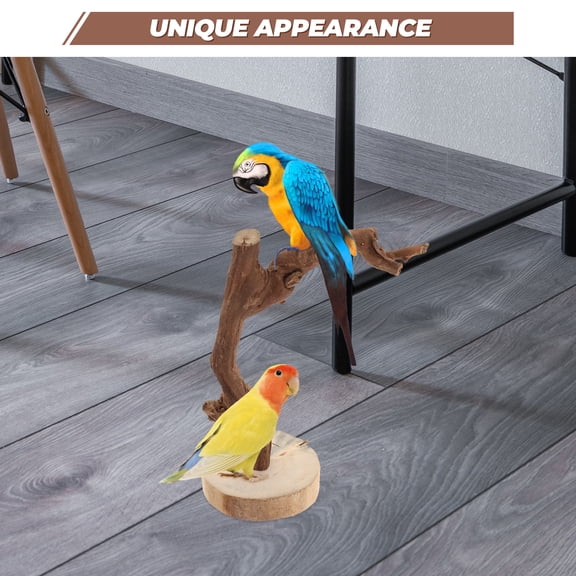 MIPCASE Wooden Bird Training Stand with Stable Base for Parrot and Indoor Use