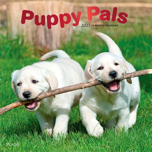 Puppy Pals | 2027 12x24" (Hanging) Wall Calendar | Foil Stamped Cover | Plato