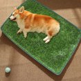 thumbnail image 6 of LEHOZIHEQ Artificial Grass, Professional Dog Grass Mat, Potty Training Rug and Replacement Turf Outdoor Rug Patio Lawn Decoration, Easy to Clean with Drainage (18.1 x 30 inch), 6 of 7