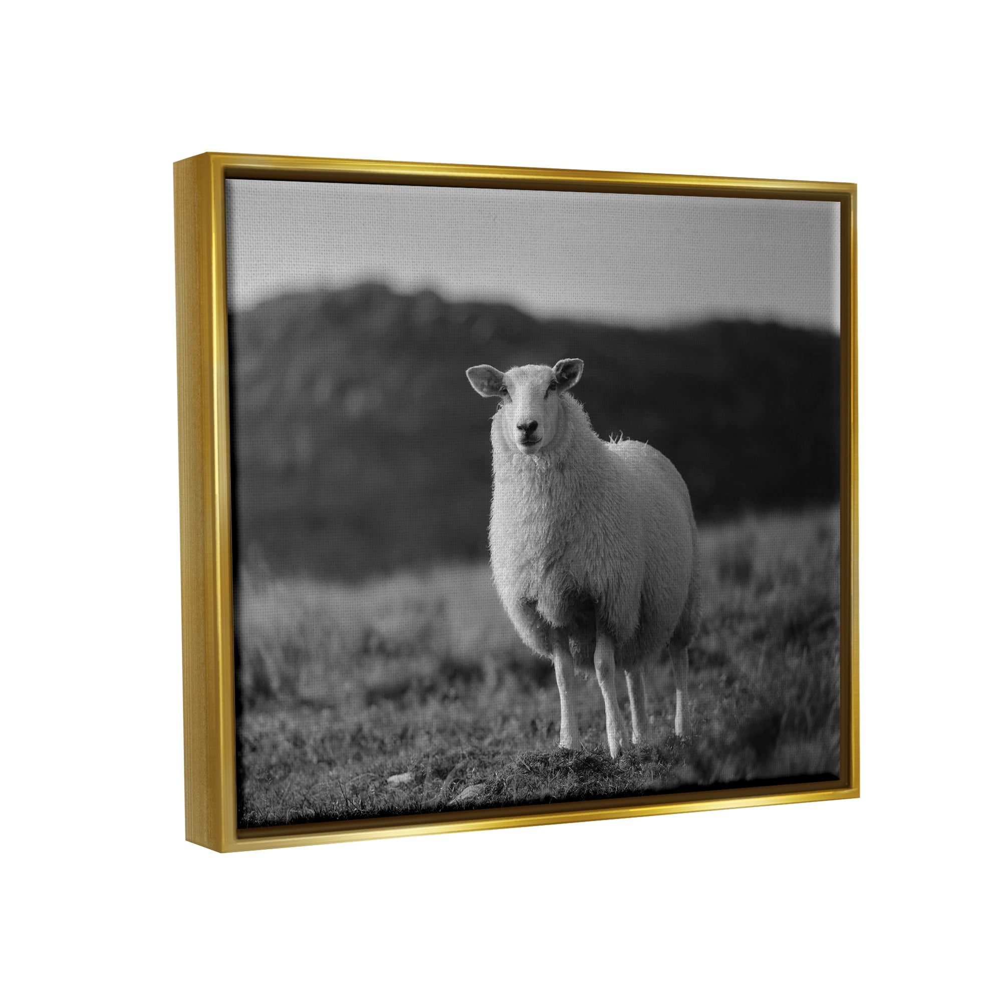 Stupell Industries Sheep In Rural Country Field Animals & Insects Photography Gold Floater Framed Art Print Wall Art
