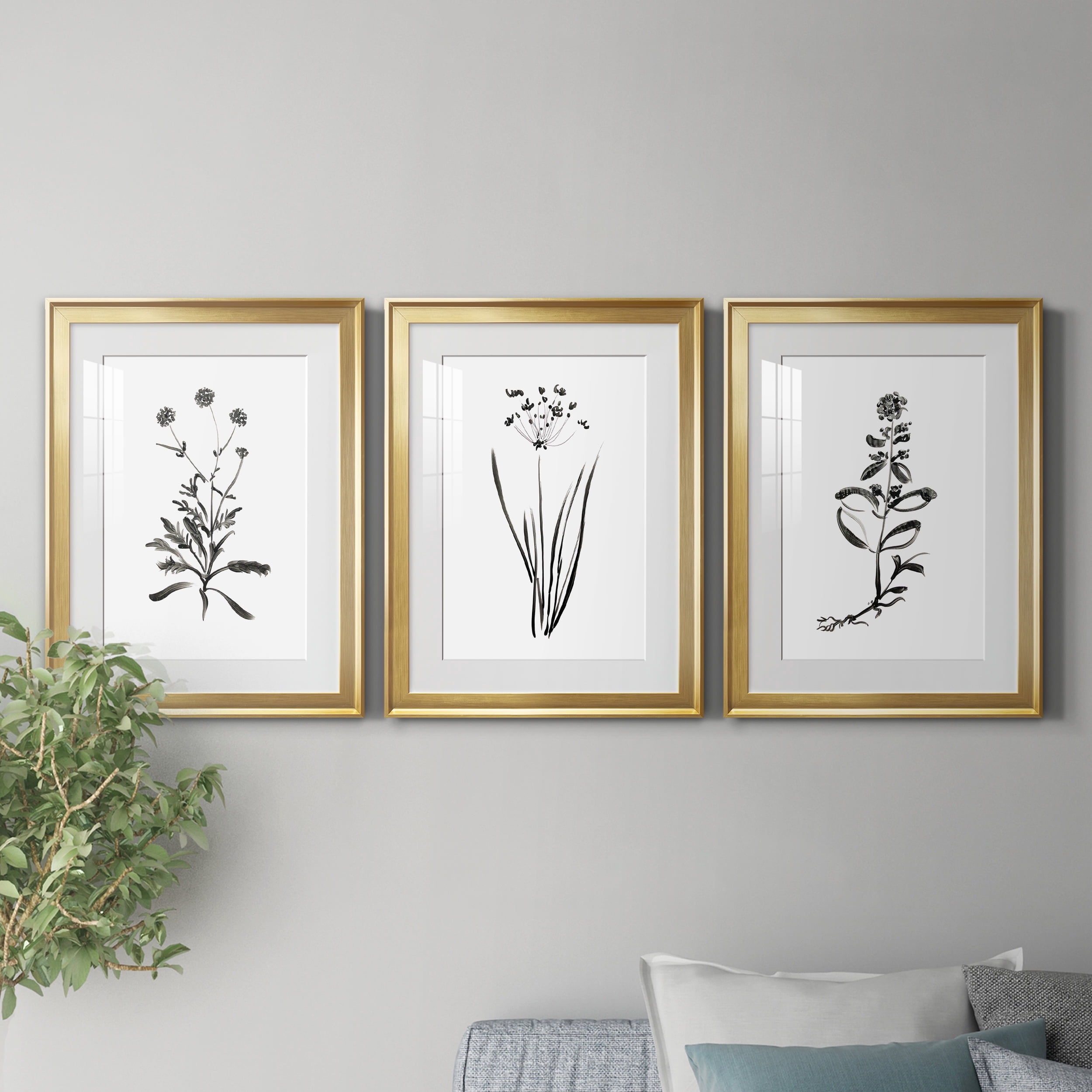 Inky Botanical I Premium Framed Prints Set of 3 - Ready to Hang - 18 x 24 Each - Gold Frame