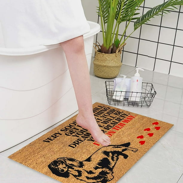 Heiheiup Fun Floor Mats Non Slip Kitchen Dog Mats For Home Decoration Easy To Clean Entry Mat Beautiful Color And Sizing For Outdoor And Indoor Uses Home Decor Walmart