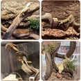 thumbnail image 2 of 2PCS Natural Reptile Climbing Branches Decor,1.8-2.25" Thick Natural Snake Climbing Forest Wood with Plant Leaf Decor,Lizard Forest Branch,Geckos Tank Tree Trunk Accessories for Bearded Dragons（L）, 2 of 7
