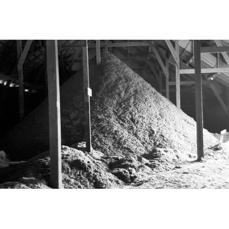 Texas Cotton Seeds 1939 Nmound Of Cotton Seed Hulls For The