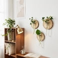thumbnail image 5 of Wall Mounted Glass Planter, Natural Wood Slice Single Test Tube Hydroponic Vase, Hanging Plant Propagation Station for Indoor Home Decor and Office Wall Art Decoration, 5 of 6
