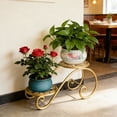 thumbnail image 2 of 2 Tier Plant Stand,Metal Flower Stand Indoor Outdoor,Anti-Rust Iron Plant Shelf,Round Flower Pot Stands for Multiple Plants,Display Rack Potted Plant Holders for Garden Home Decor(Gold), 2 of 3