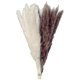 thumbnail image 5 of 2x 15 Piezas de Hierba de Pampa Seca Natural - Plumas de Caña de 17.7 Pulgadas, Ramo de Flores Secas Arreglos Boho Hogar Boda Cocina Oficina Decoració Sunnimix Hierba de pampa seca, 5 of 8