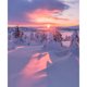 thumbnail image 1 of Pintura de diamante (DE2262) 5D DIY Escena de nieve Mosaico cuadrado Invierno (WY111) 30x40cm Hugtrwg Para estrenar, 1 of 1