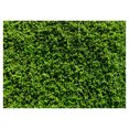thumbnail image 2 of Zeus 3D Flower Wedding Scene Photographic Backdrops Photo Studio Background Decor, 2 of 7