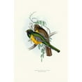 thumbnail image 2 of John Gould 17x24 Gold Ornate Framed and Double Matted Museum Art Print Titled - Black Throated Trogon (1835-1838), 2 of 4