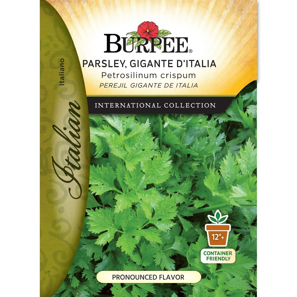 BurpeeParsley, Giante d'Italia Italian Herb Seed Packet