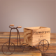 thumbnail image 5 of Soporte para plantas en forma de bicicleta, maceta de alambre de metal de hierro forjado para jardín, patio, oficina y decoración de exterior e interior., 5 of 6