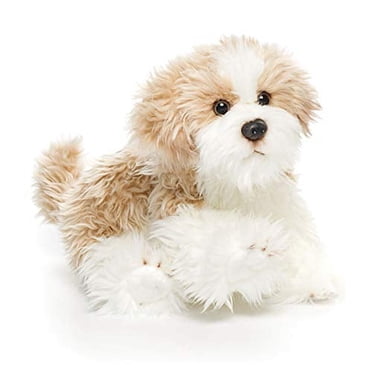 Little Live Pets Muffin My Dream Kitten, WALMART EXCLUSIVE! - Walmart.com