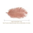 thumbnail image 2 of CIYISON Colored Ostrich Feather 10Pcs for Photography Props Flower Arrangement DIY Decor, 2 of 20