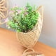thumbnail image 3 of Maceta de Flores Hecha A Mano para Colgar en la Pared, Cesta de Mimbre para Jardín, Maceta de Vid, Soporte para Plantas, Macetas de Jardín, Macetero de Pared B, 3 of 5