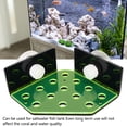 thumbnail image 3 of Coral Frag Rack, Fish Tank Coral Frag Holder 13 Holes Easy Installation with Suction Cups for Fish Tank, 3 of 7