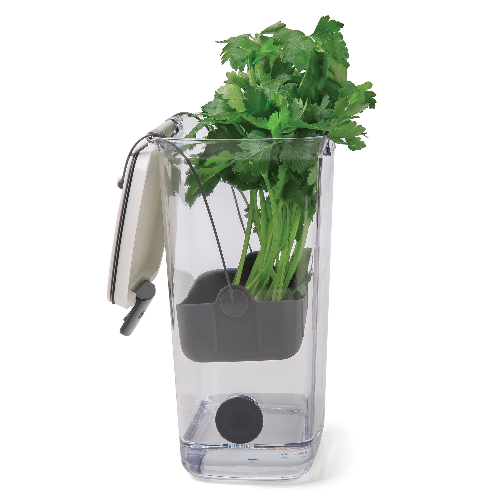 Progressive International PKS-930 Plastic ProKeeper Herb Keeper, 1 Piece, White