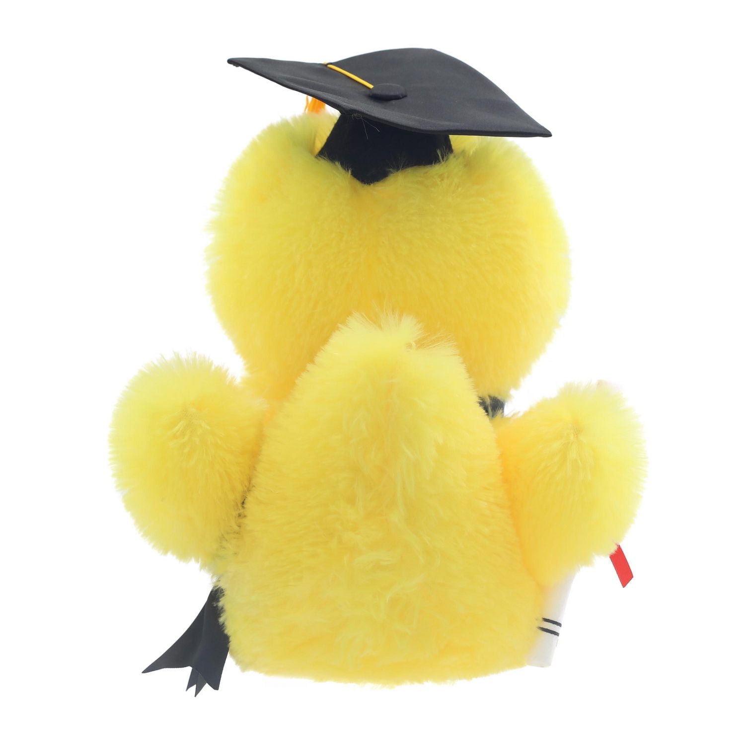 Class of 2025 Graduation Duck Plush in Box