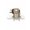 Normally closed, variant on 1/2" 3/4" Male Thread Solenoid Valve AC 220 DC 12V 24V Water Control Valve Controller Switch Normally Closed Normally Open