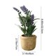 thumbnail image 3 of Bonsái artificial | Arreglo floral y de lavanda artificial | Decoración para el hogar y la oficina: ideal para la sala de estar, la entrada o estanterías | Vegetación artificial en jarrón moderno, 3 of 6