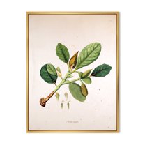 Designart 'Ancient London Plants I' Farmhouse Framed Canvas Wall Art Print