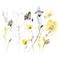 thumbnail image 2 of Goldberger, Jennifer 14x12 Black Ornate Wood Framed with Double Matting Museum Art Print Titled - Wild Flowers and Contour I, 2 of 4