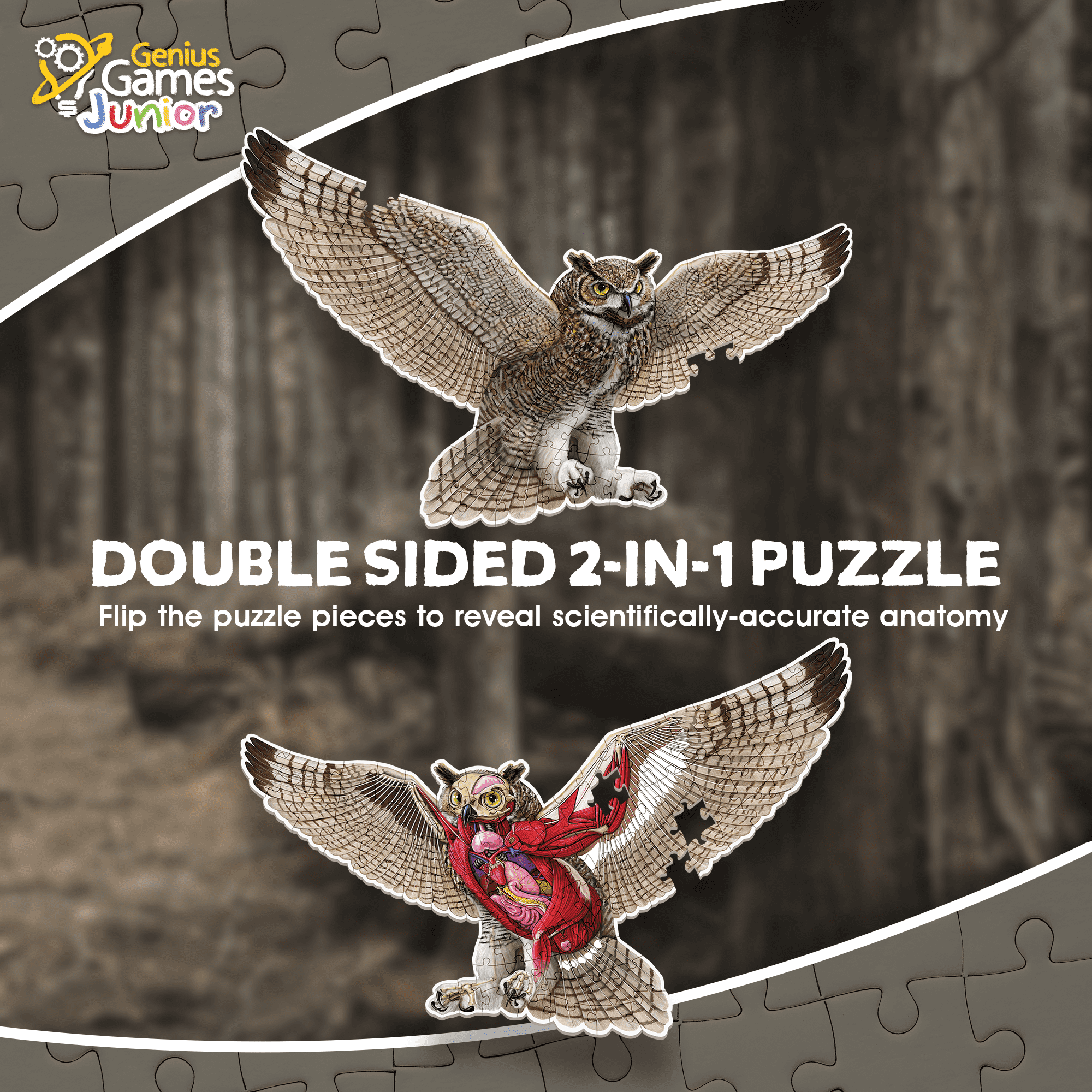 Owl Animal Anatomy Floor Puzzle | 100-Piece Double Sided Jigsaw Puzzle | Large-Sized, Over 3 Feet Scientifically Accurate Illustration